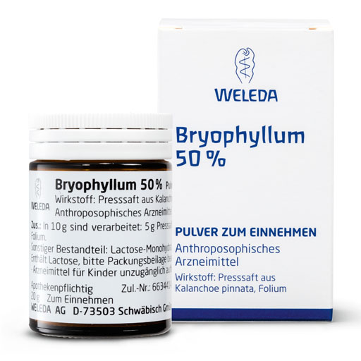 BRYOPHYLLUM 50% Pulver zum Einnehmen