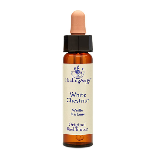 BACHBL&Uuml;TEN White Chestnut Healing Herbs Tropfen