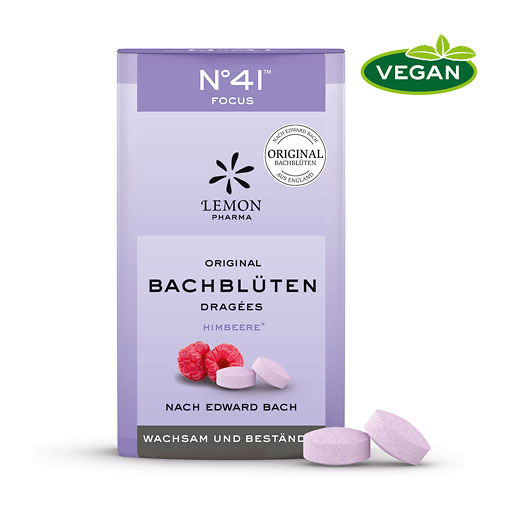 BACHBL&Uuml;TEN No.41 Konzentration Dragees n.Dr.Bach