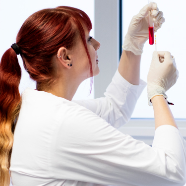 wir leben - Karriere